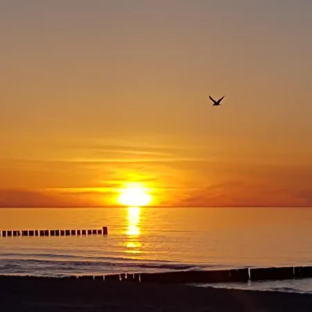 Ostseeresidenz - Whg 24 Zingst